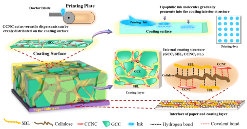 738edb2079a54c9f903098be596844ce.png image.png