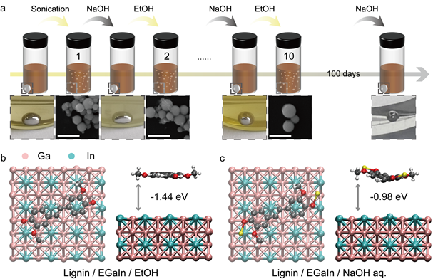 533c0dfdc5944e89aa31b473fbc84e62.png 533c0dfdc5944e89aa31b473fbc84e62.png