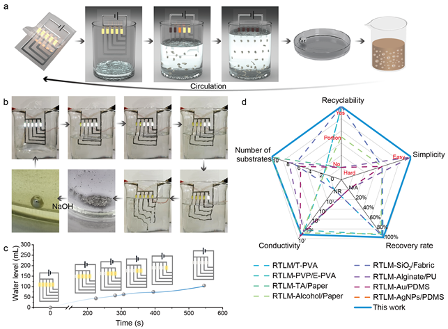 5625d2fbfc724d2ca29038ee284648ae.png 5625d2fbfc724d2ca29038ee284648ae.png